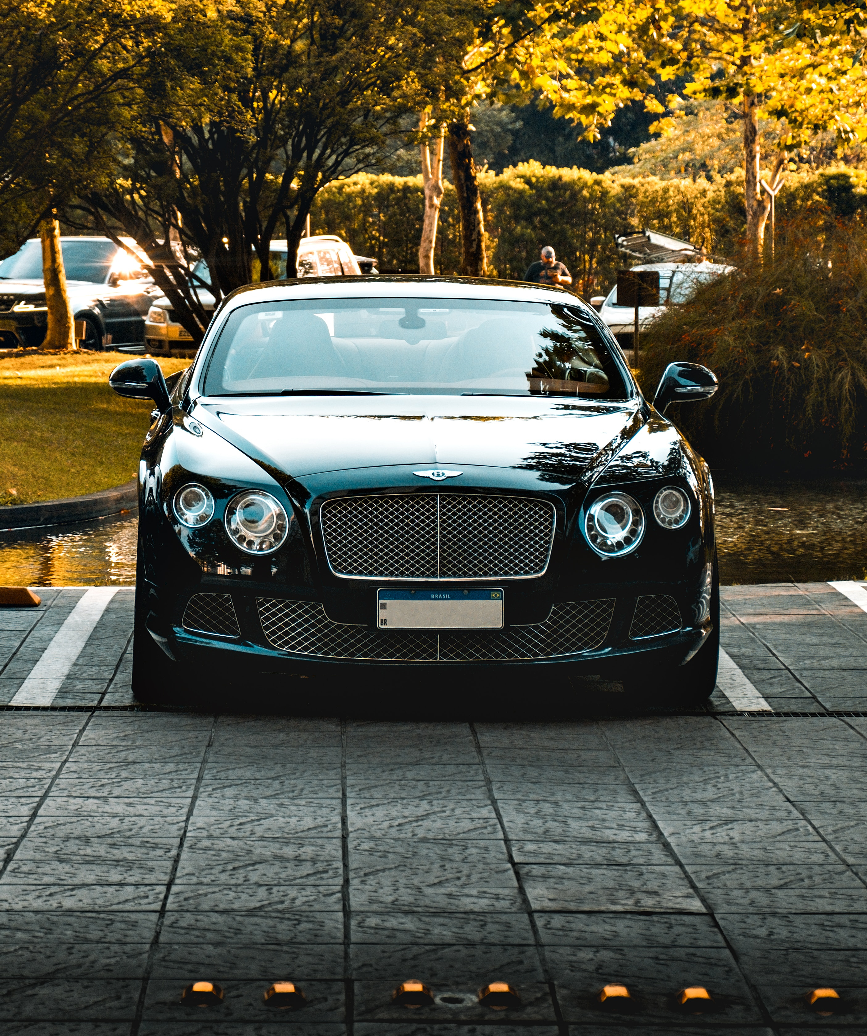 Front of Bentley - Signature Styles of Rolls Royce and Bentley
