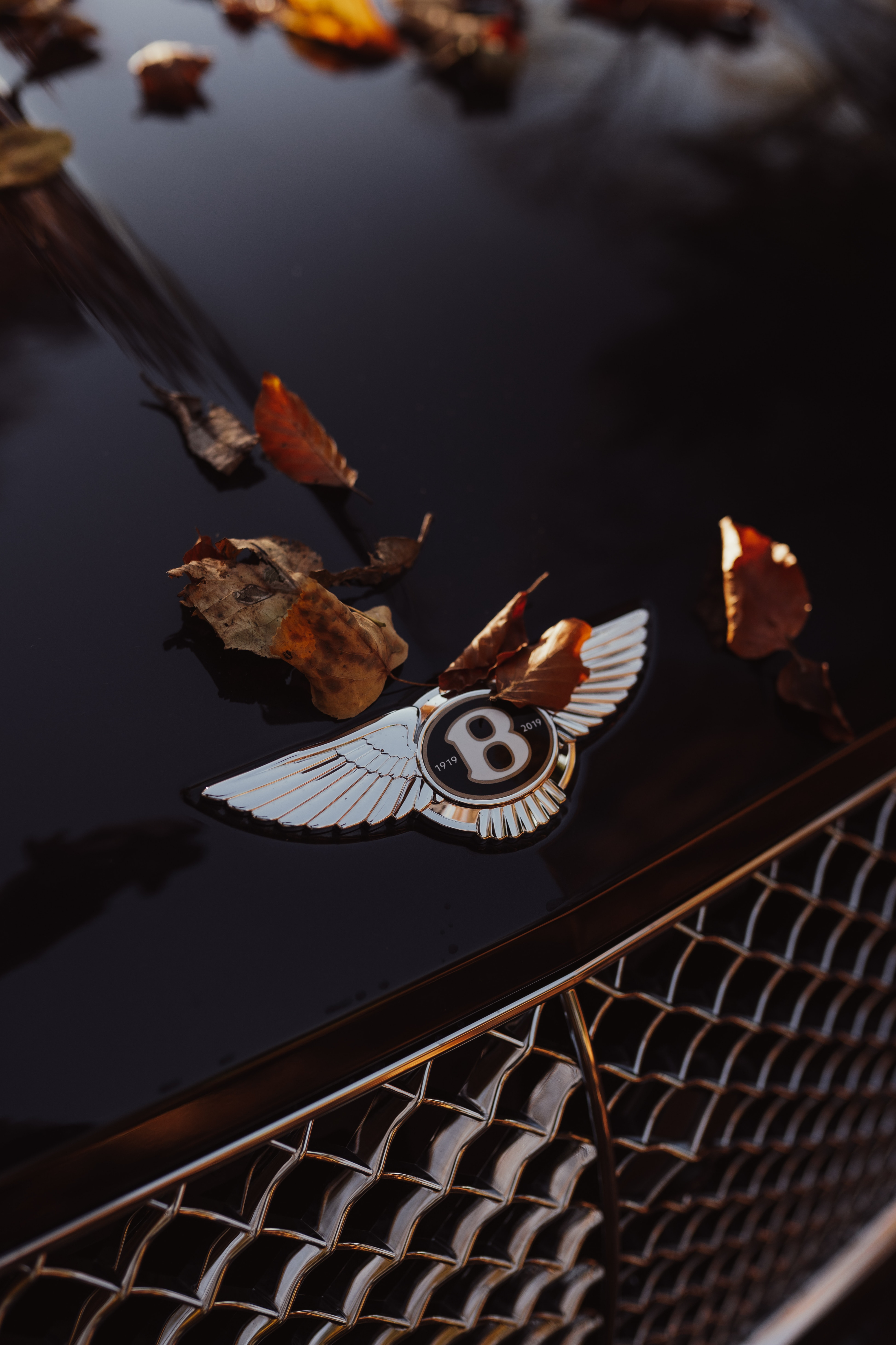 Bentley Logo - Trends and Vision for Rolls Royce and Bentley