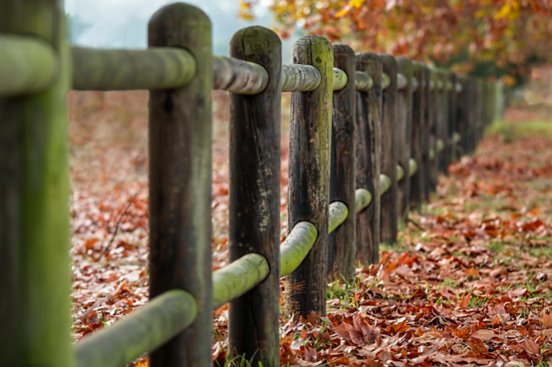 Additional Considerations For Your Garden Fence
