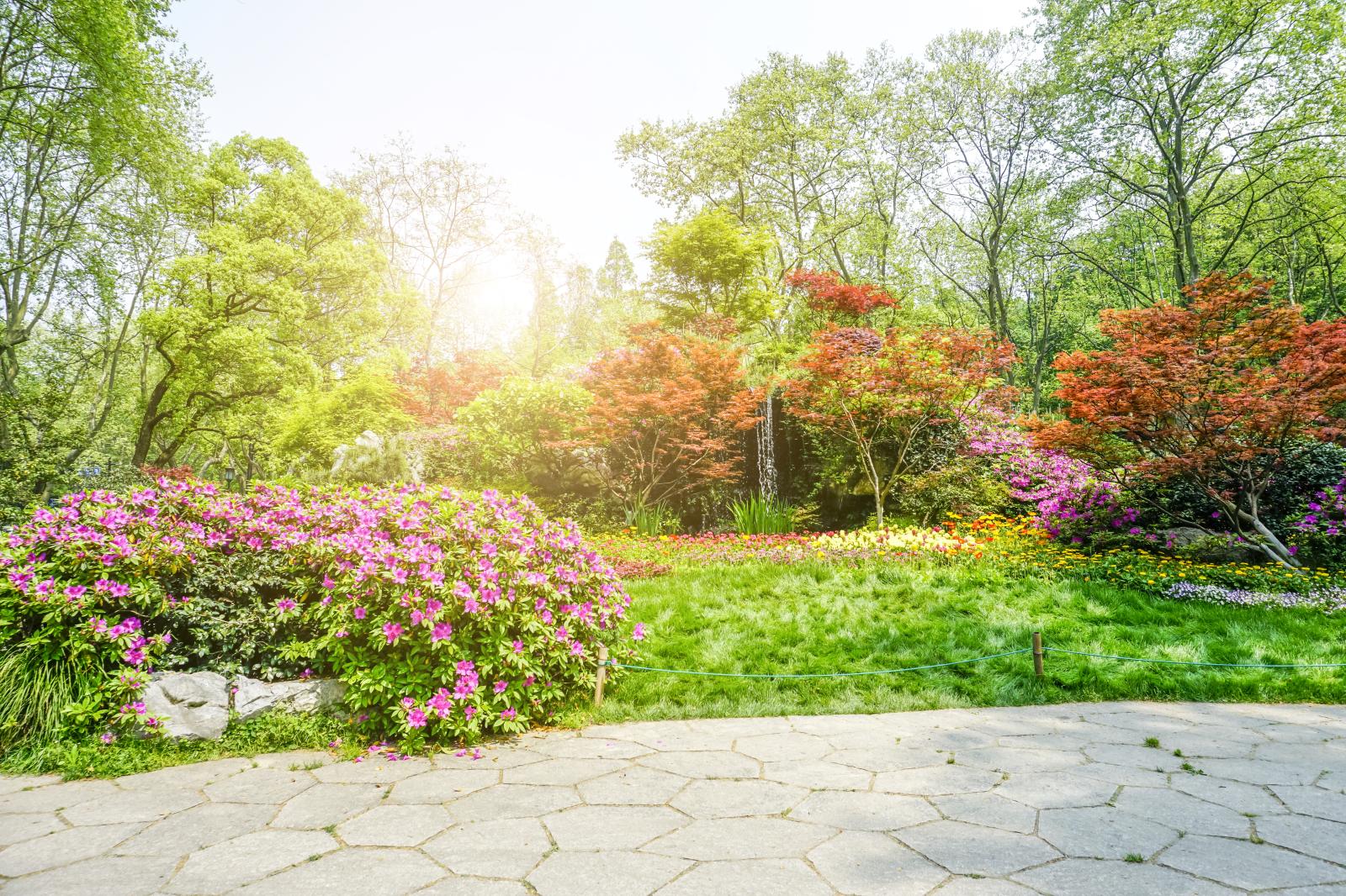 Homemade Weed Killer - How Do I Get Rid Of The Weeds