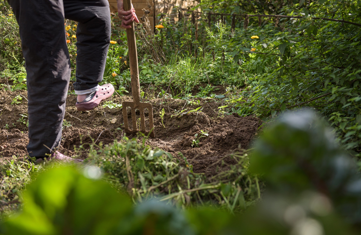 How Do I Get Rid Of The Weeds In My Garden How Do I Get Rid Of The Weeds In My Garden