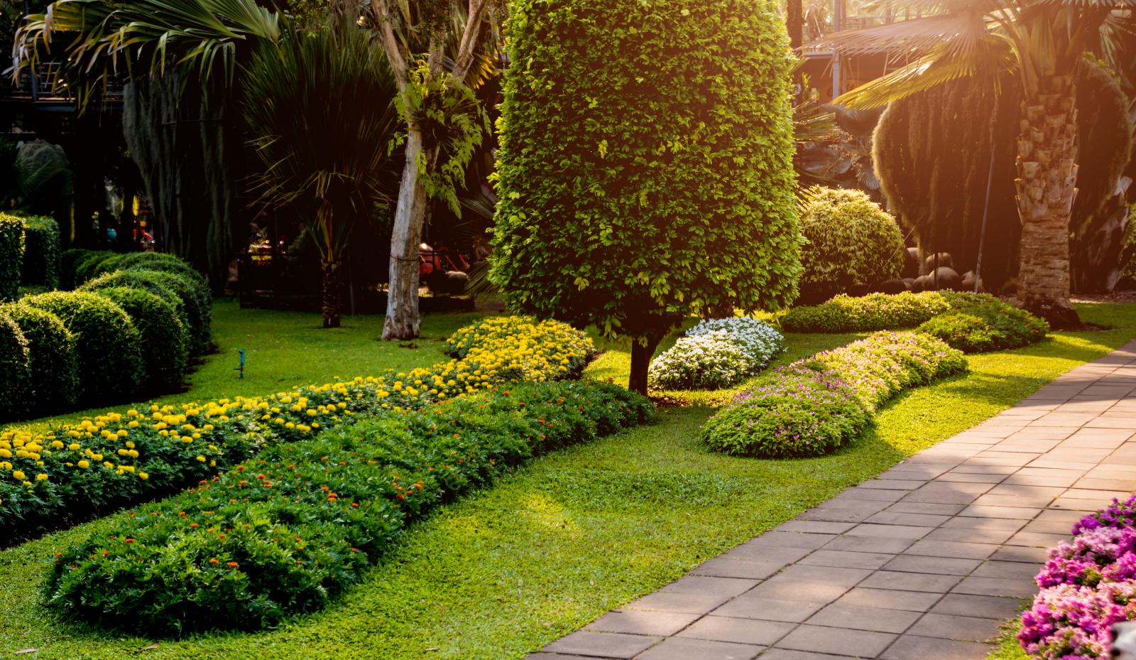 TACKLE WEEDS FAST - How Do I Get Rid Of The Weeds