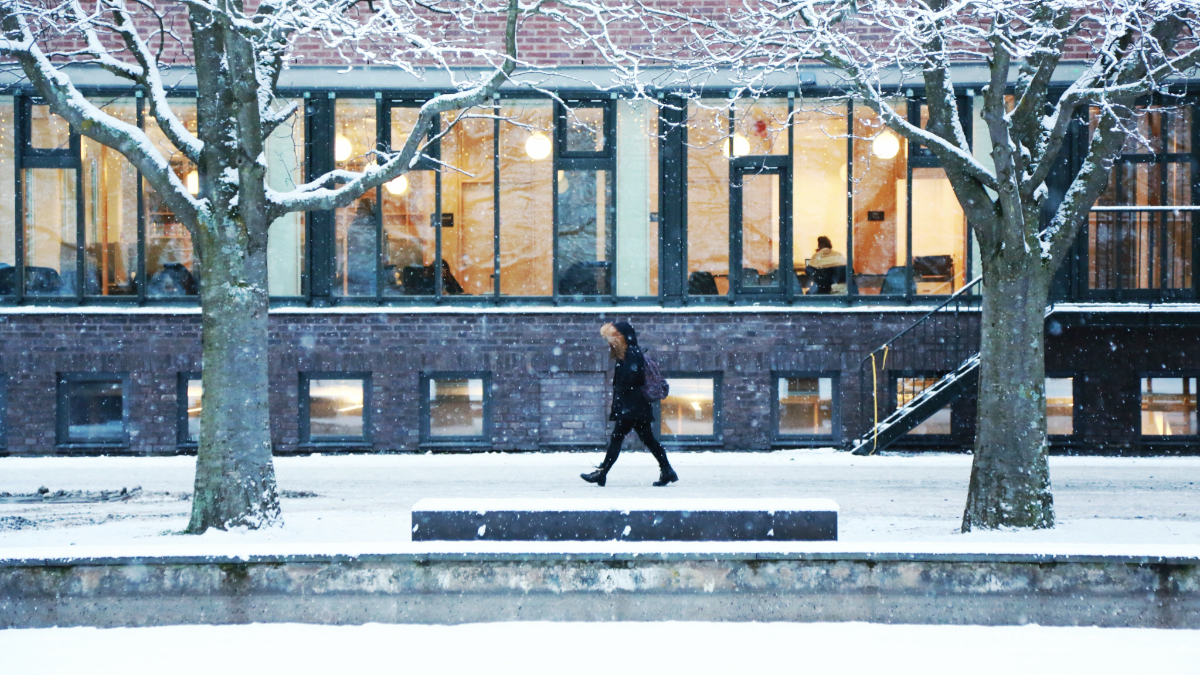 Gritting Solutions for Your Business Park