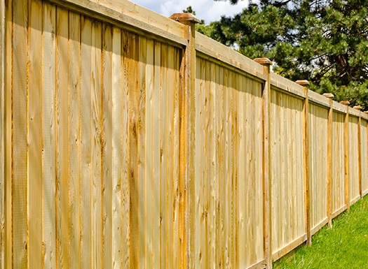 tall timber fence
