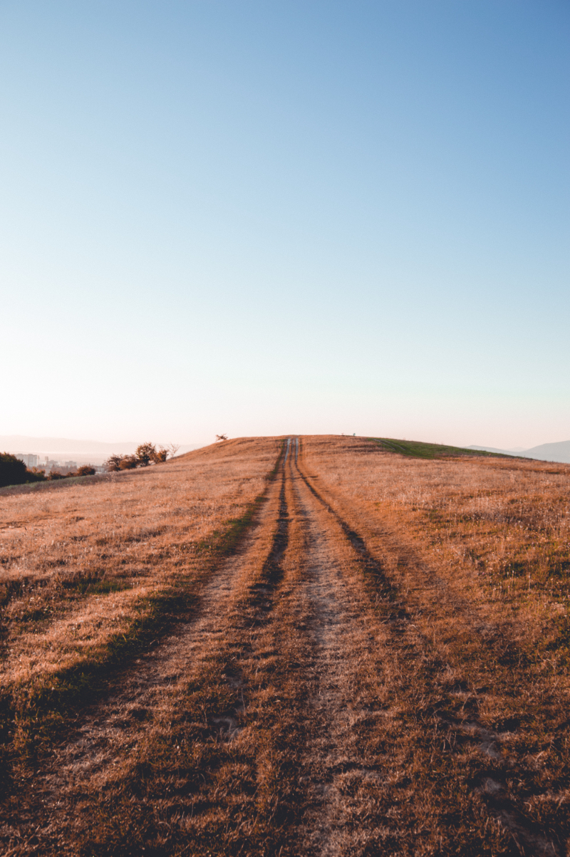 What Is A Land Lot Line