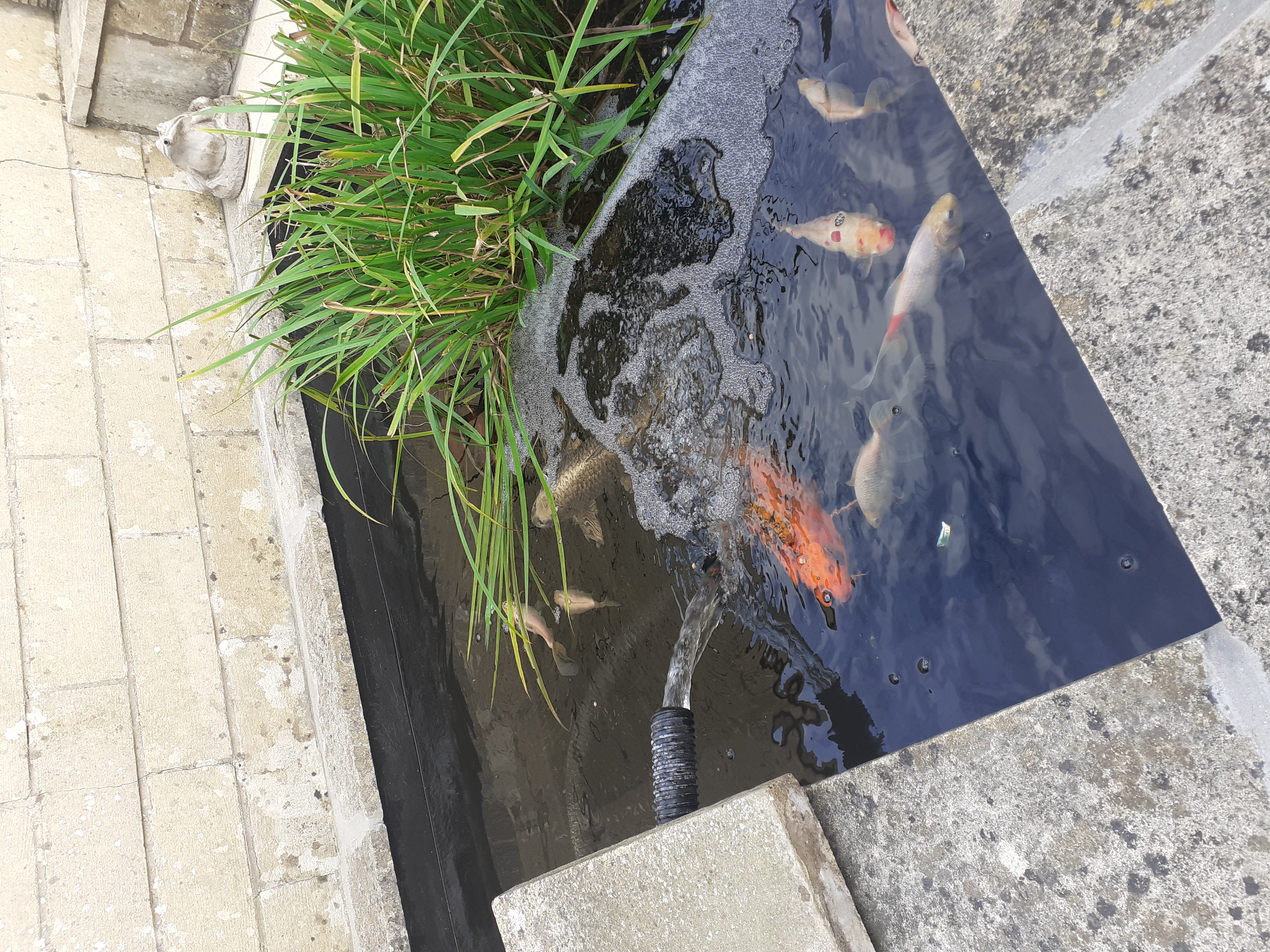 Pond lining GRP Bath