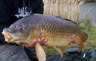 Rosewall coarse fishing Rosewall coarse fishing