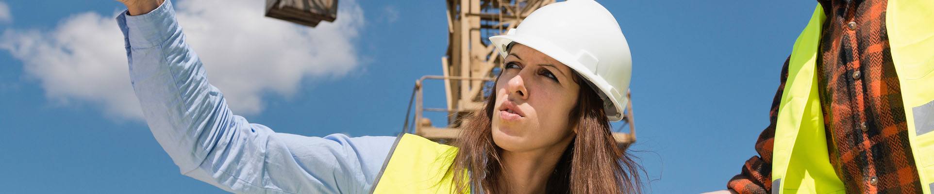 Surveys Needed for Planning Permission
