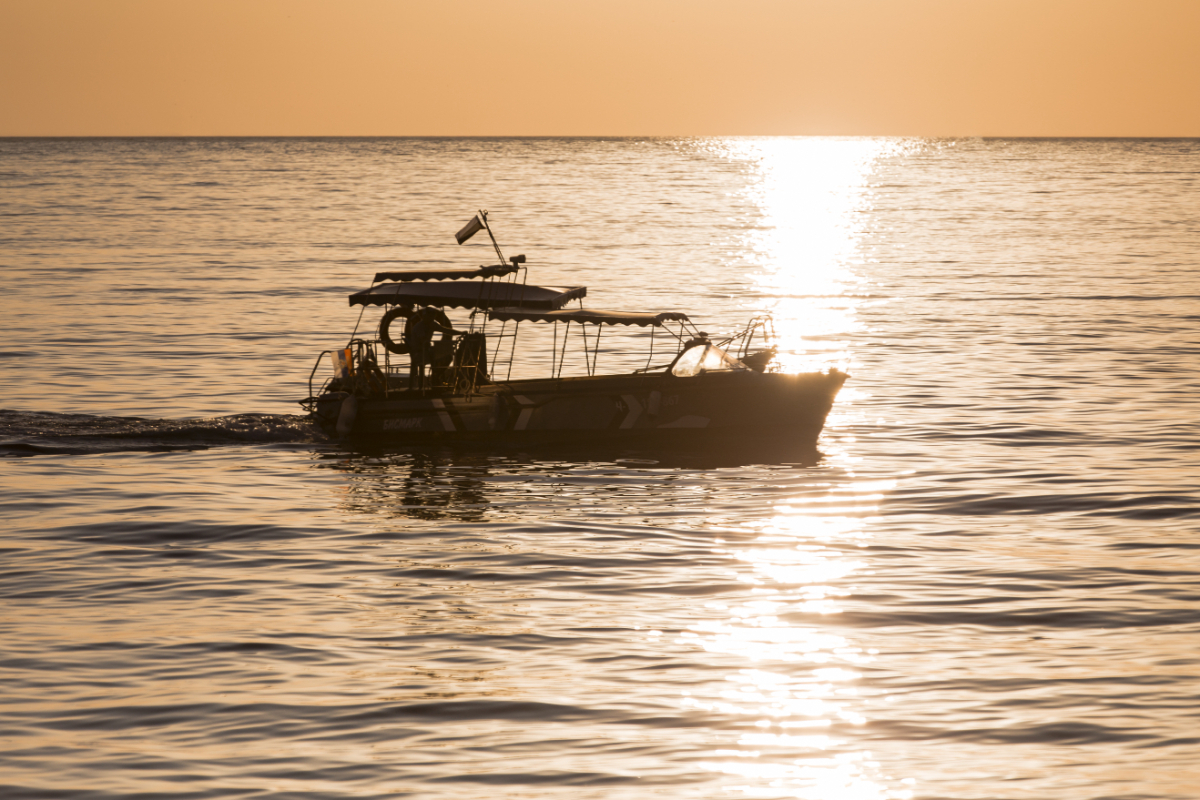 Sightseeing Boat Trips Southend On Sea, Thames Estuary & Essex Coast