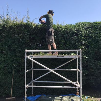 Tree Pruning Services Whitwick