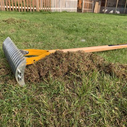 Lawn and Garden Care Whitwick