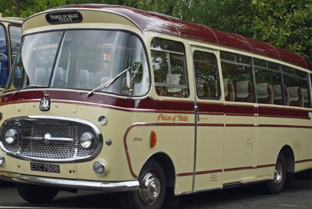 Bedford coach