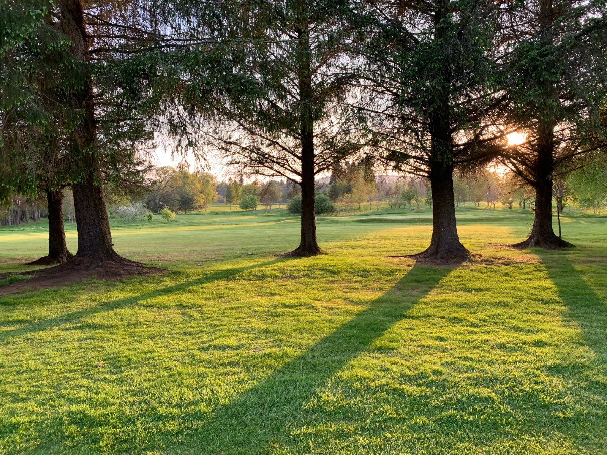 How To Treat Your Lawn Naturally