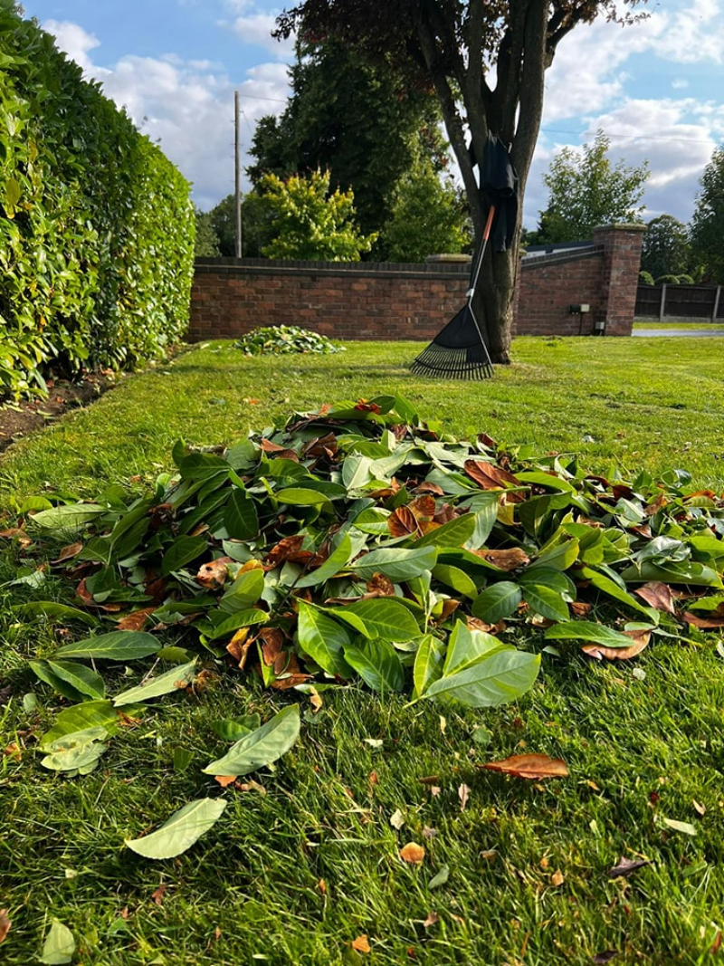 Garden Maintenance Newton-le-Willows, Warrington, St Helens