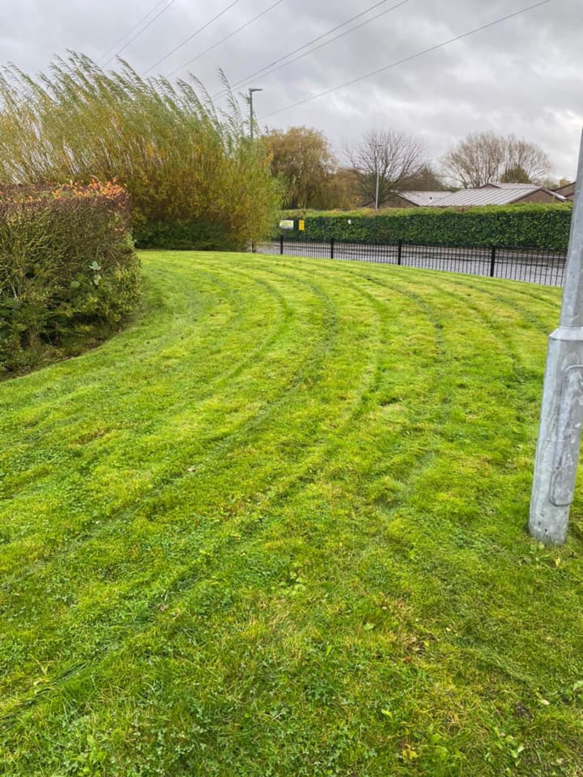 Commercial Gardener Newton-le-Willows, Warrington, St Helens