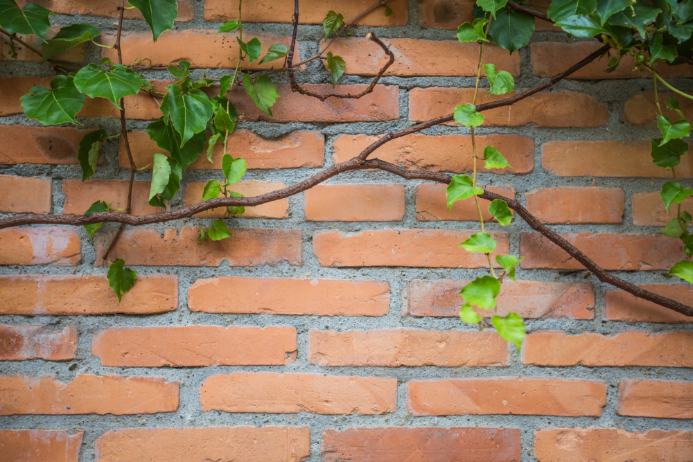 The Beginners Guide To Garden Walls