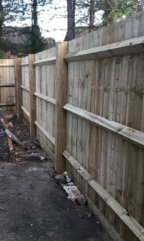 garden fence