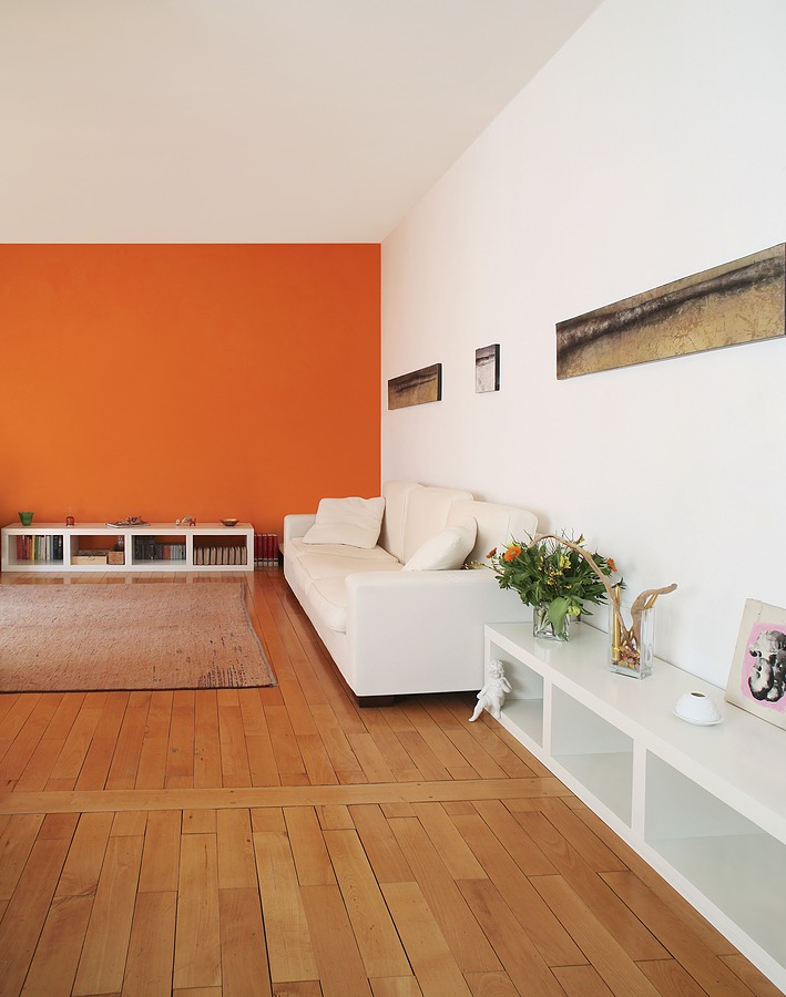bold and minimalistic decorating style