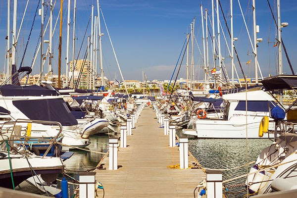 marine surveyors