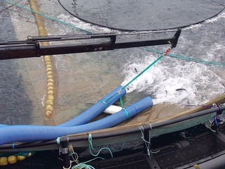 maintenance dredging