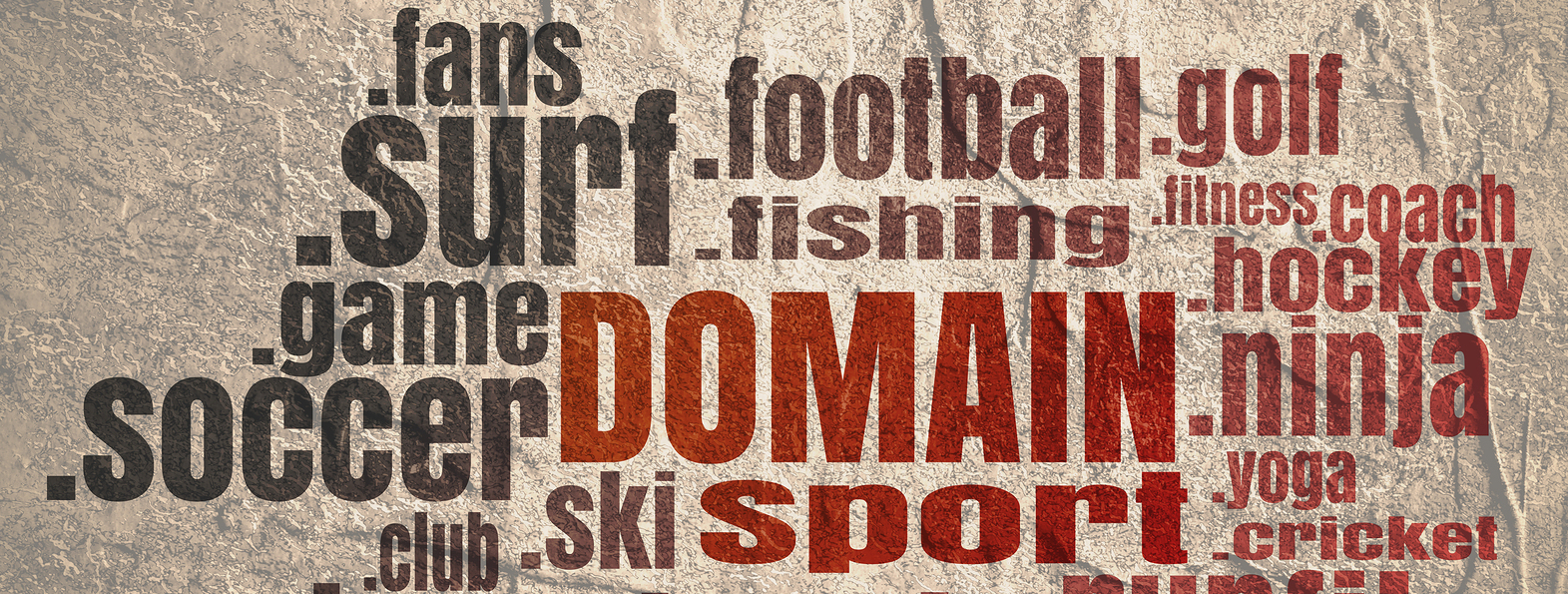 The new gTLDs mean a new Internet The new gTLDs mean a new Internet