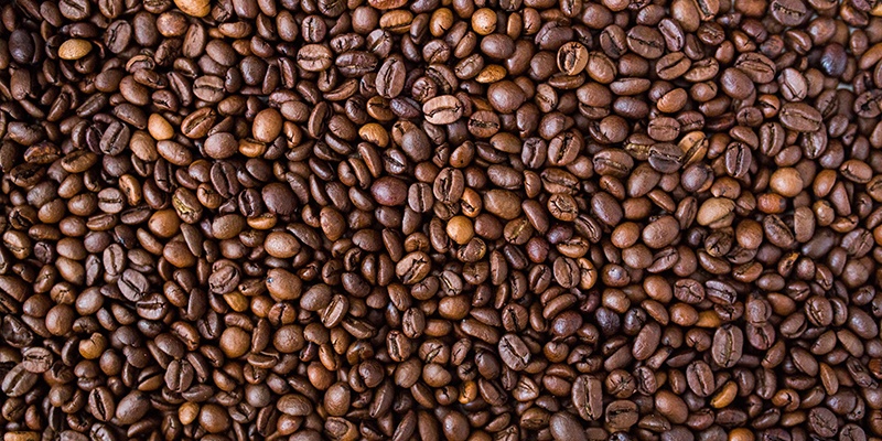 New extensions available this week CAFE EXPRESS New extensions available this week CAFE EXPRESS