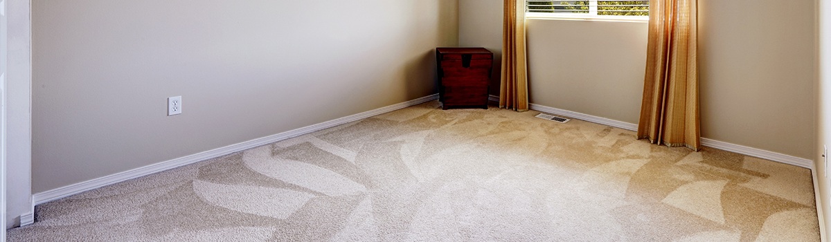 carpet and upholstery cleaning Gwynedd and Anglesey
