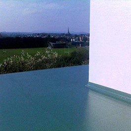 Green Roof in Monmouth