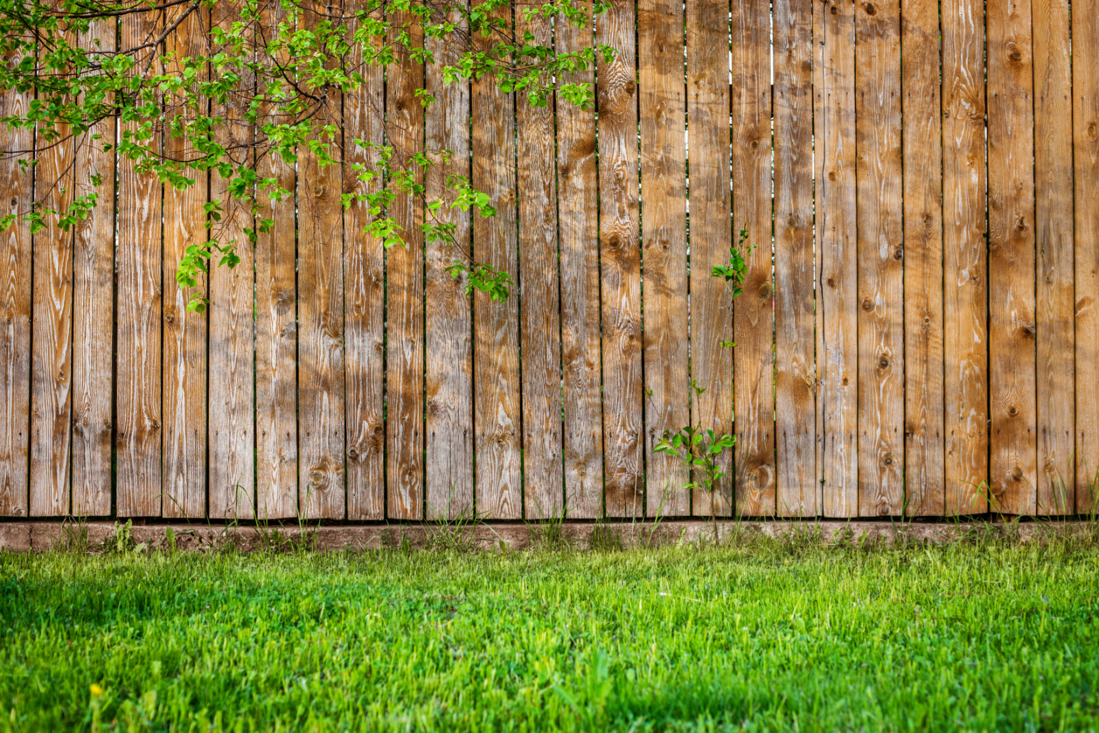 Hardwood Vs Softwood Fencing Which Is Better To Use