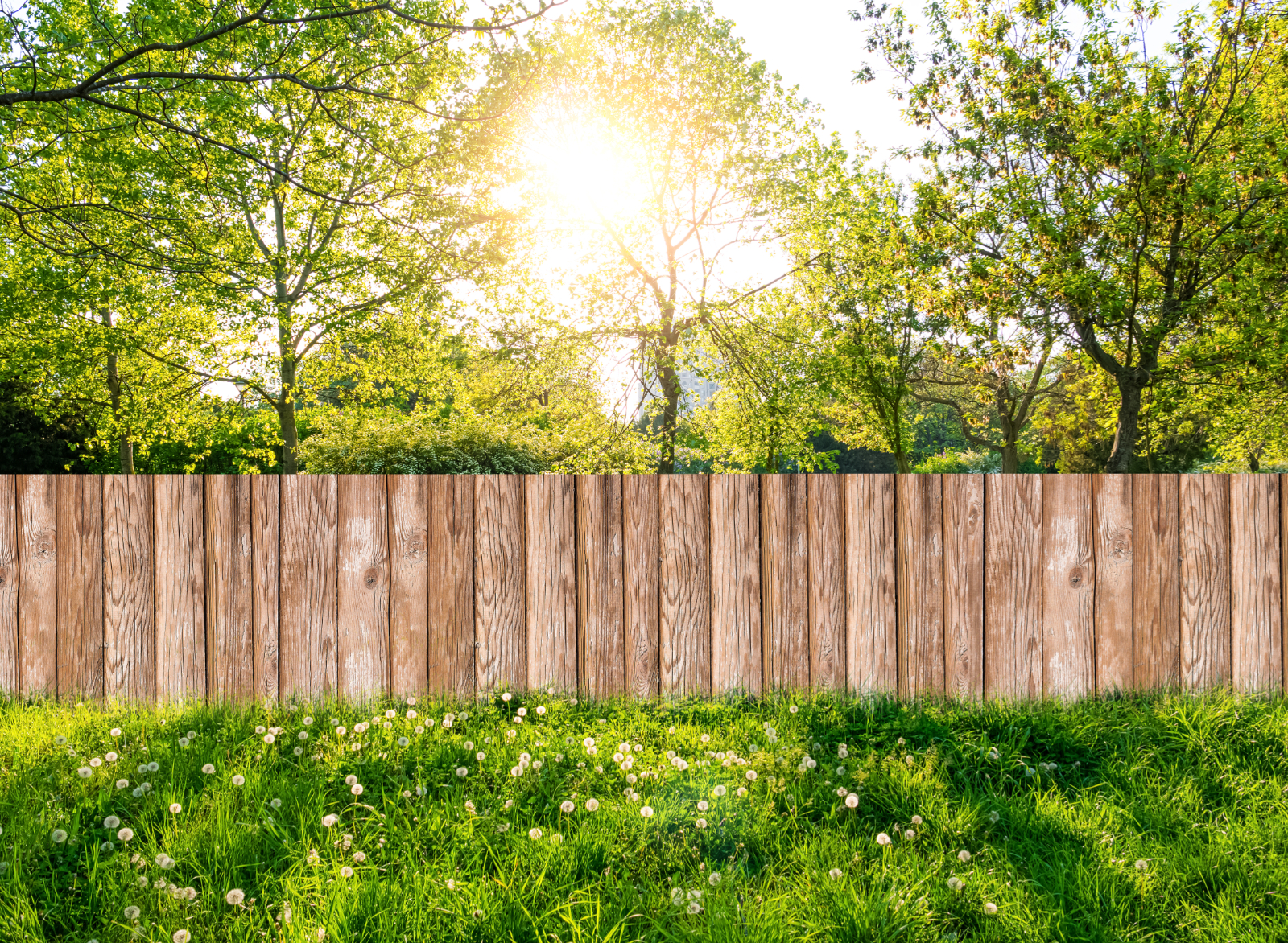 How Much Does Garden Fencing Cost