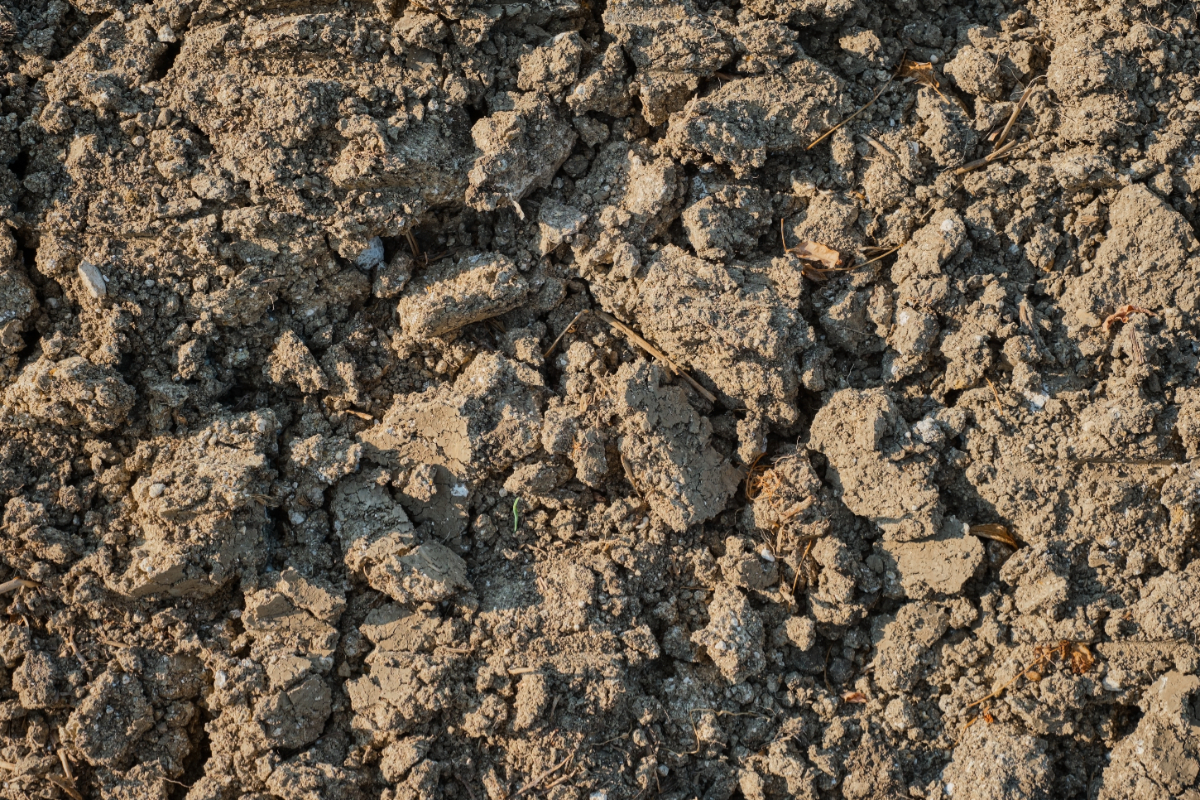 Soil