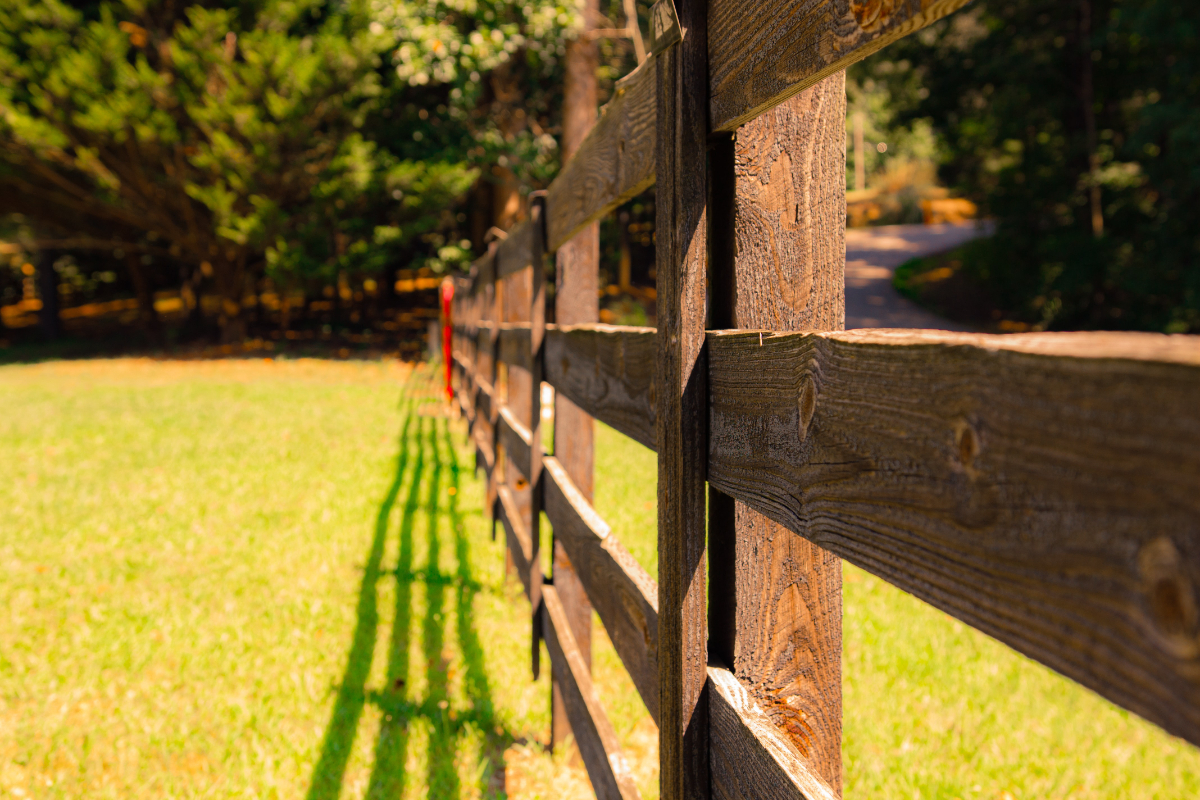 How To Choose The Right Fencing For Your Garden