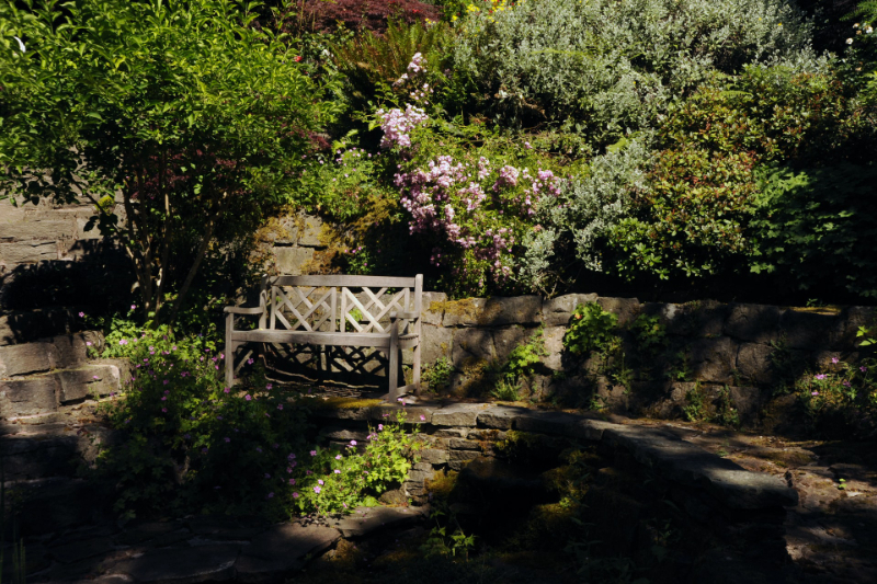 How Can I Make My Garden More Private How Can I Make My Garden More Private Image