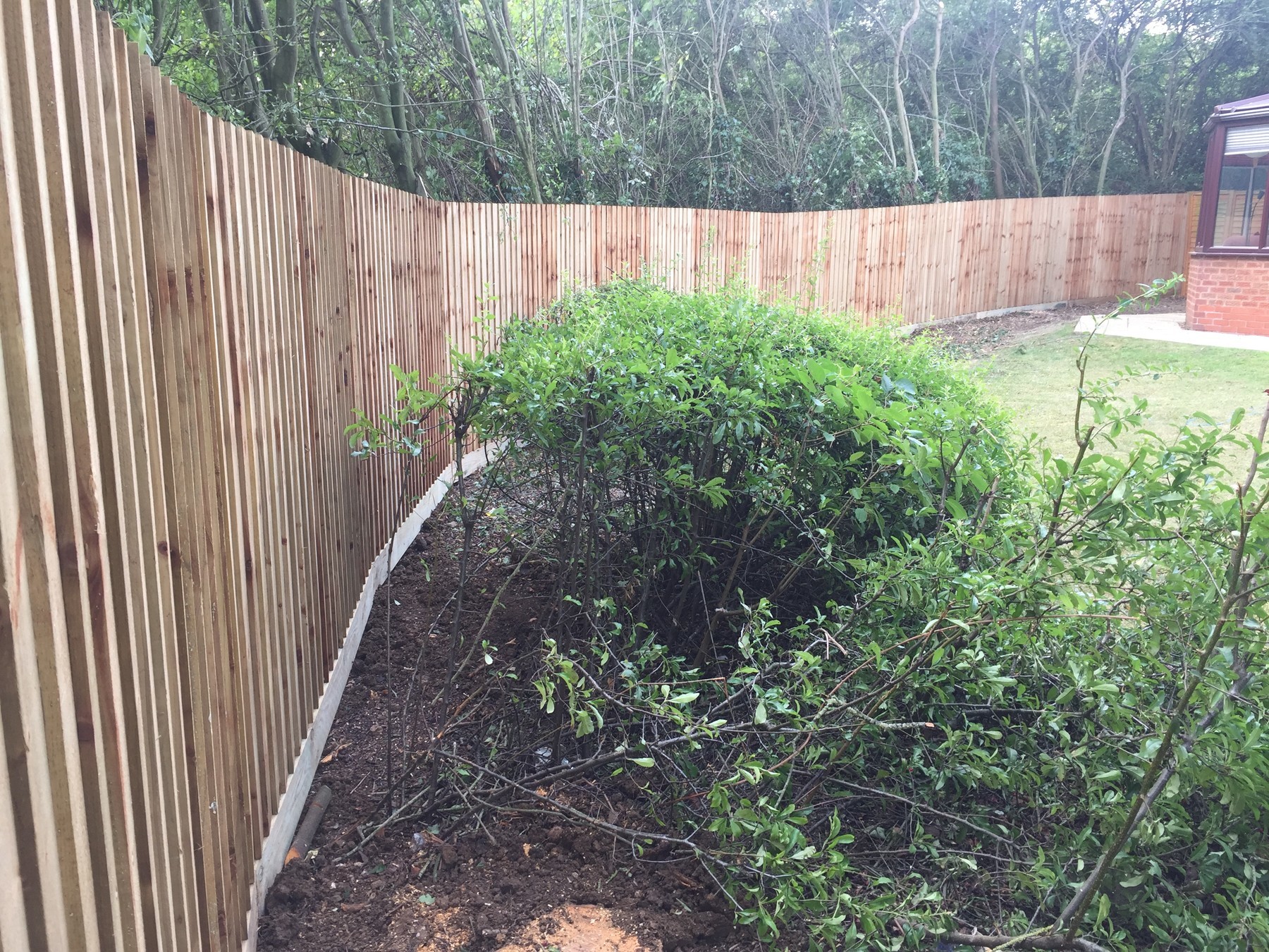 Garden Privacy Screens