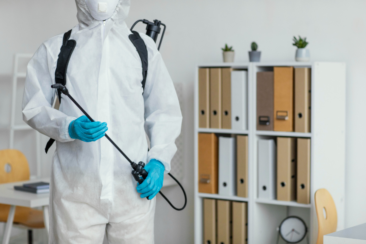 What Pests Spawn From An Unclean Office