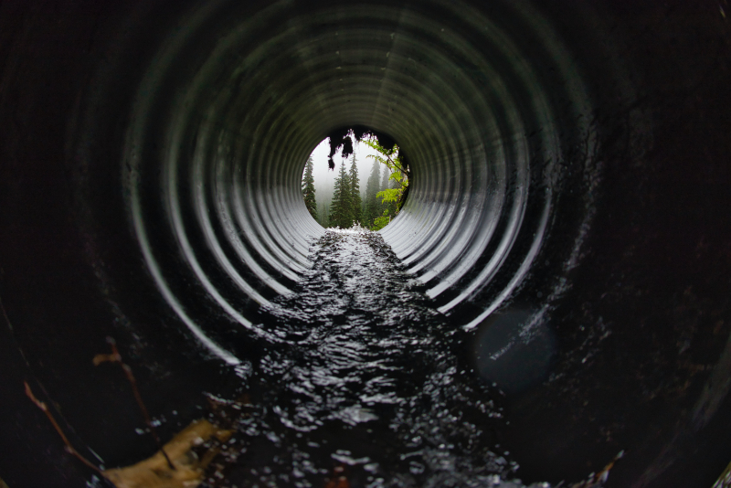 What To Do If Your Sewer Line Is Backed Up