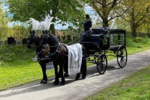 Guide To Planning Funeral Transport