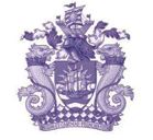 Logo of RINA