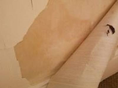 controlling damp
