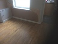 damp assessment