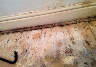 inspection of a domestic property