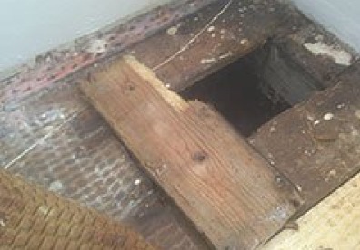damp timber idenified