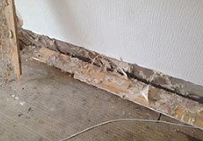 treating damaged timber