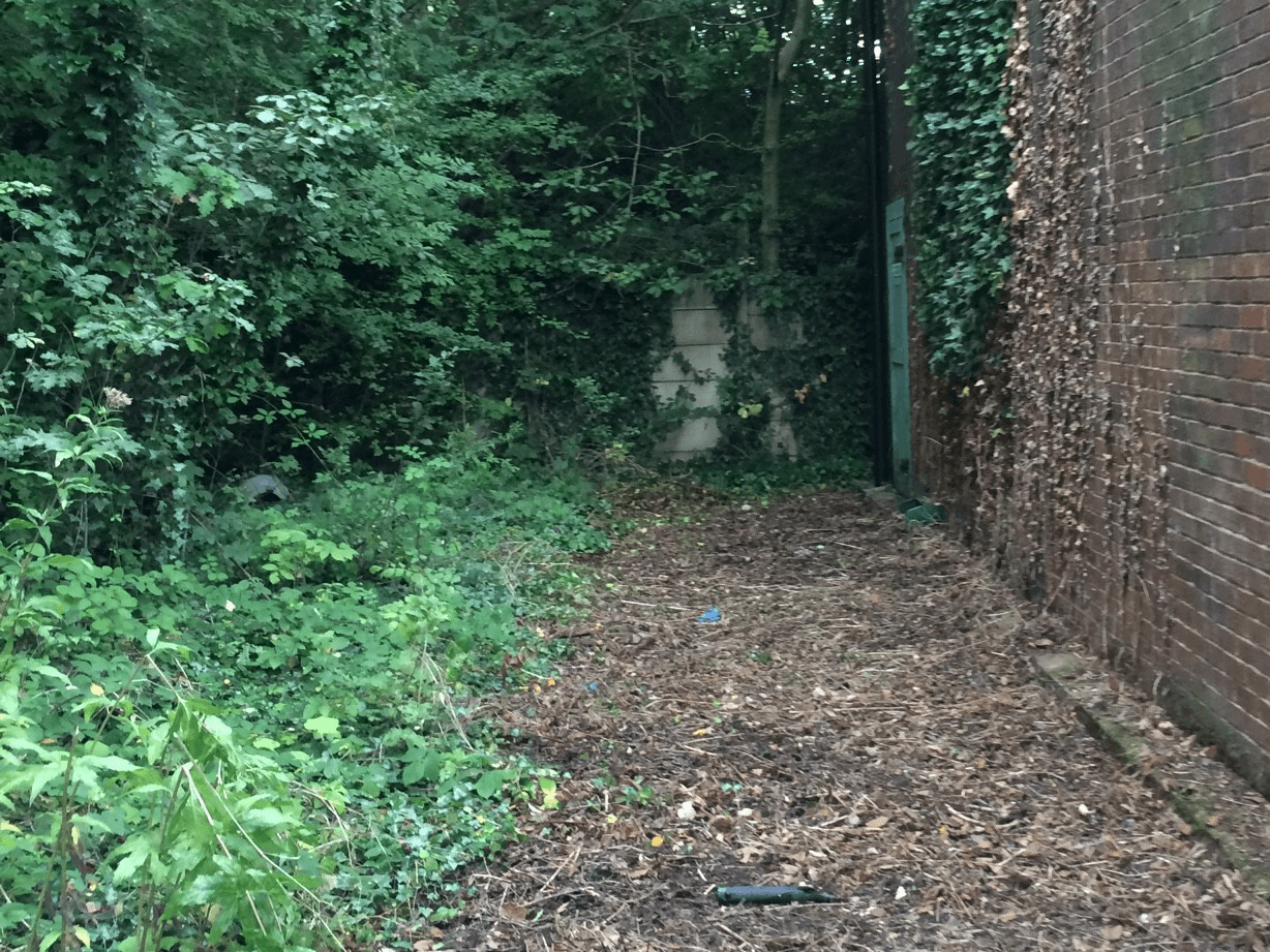 General vegetation clearance - Essex, London, UK Wide