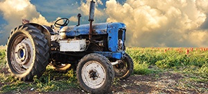 agricultural shows