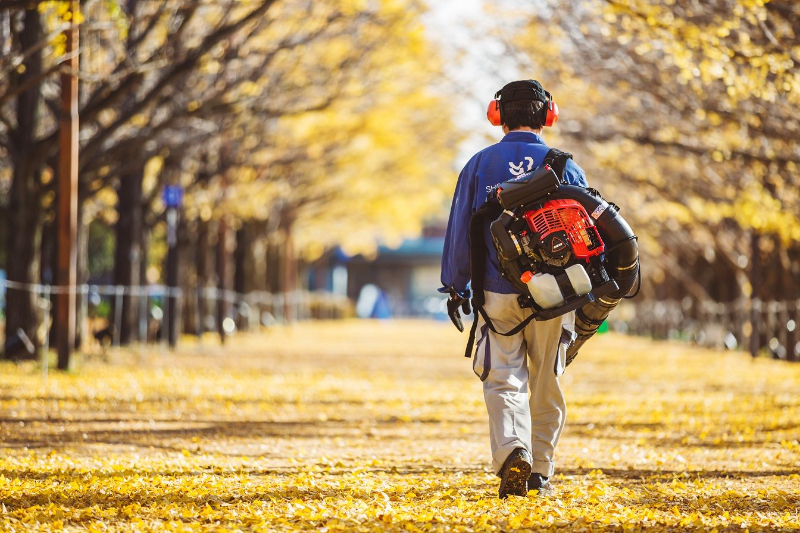 Leaf Blowers