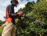 Hedge Trimmers