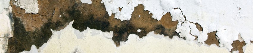 How to Identify Rising Damp How to Identify Rising Damp