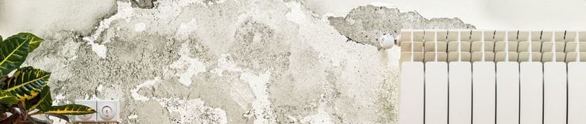 How to Fix a Rising Damp Problem How to Fix a Rising Damp Problem