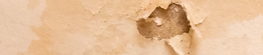 Identifying Condensation Identifying Condensation